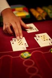 bet979 login bet979 login
